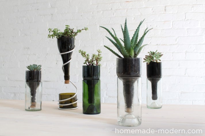 Top of Glass Bottles turned into planters