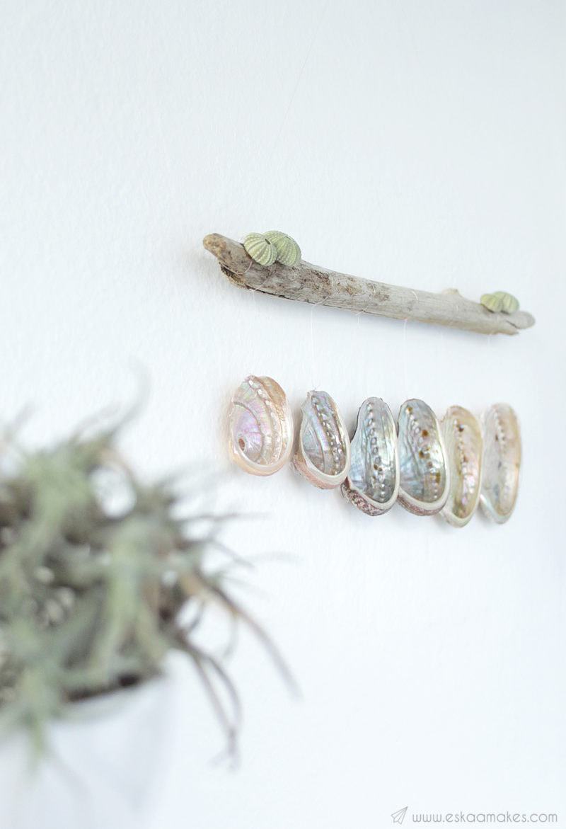 DIY driftwood shell-hanging art