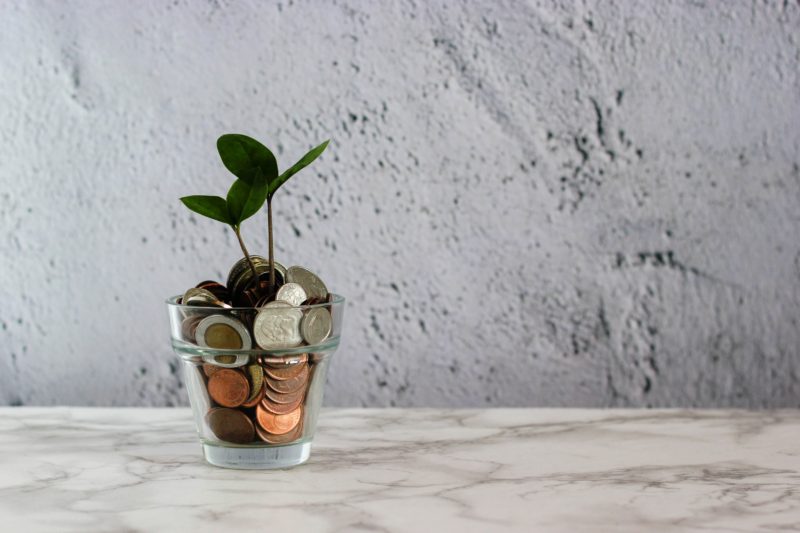 money in jar with plant