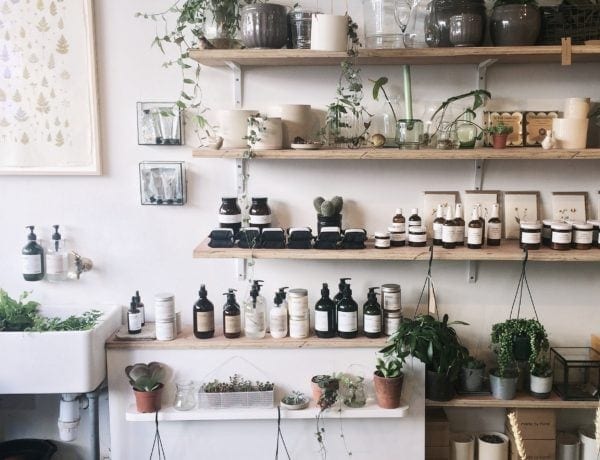 products on shelf in store