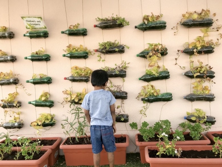 child standing in front of wall of planters made from upcycled soda bottles