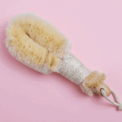 EcoRoots zero waste body brush