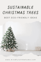 sustainable Christmas trees - best eco-friendly ideas