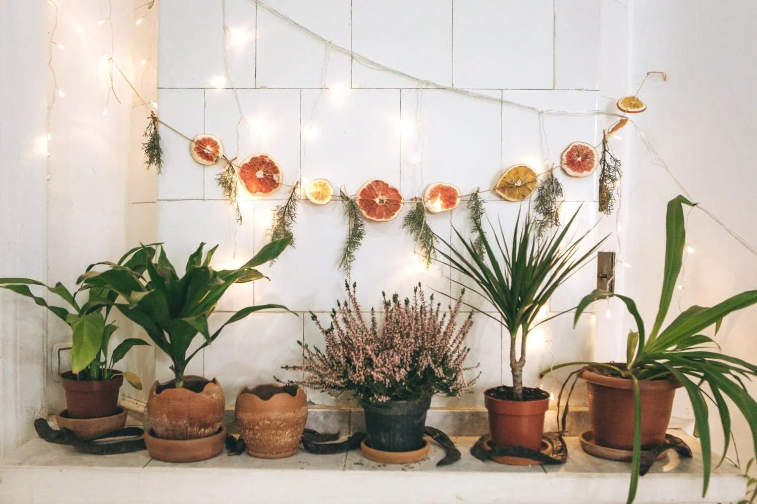A handmade natural garland made from evergreen branches and dried orange slices, strung on twine. 