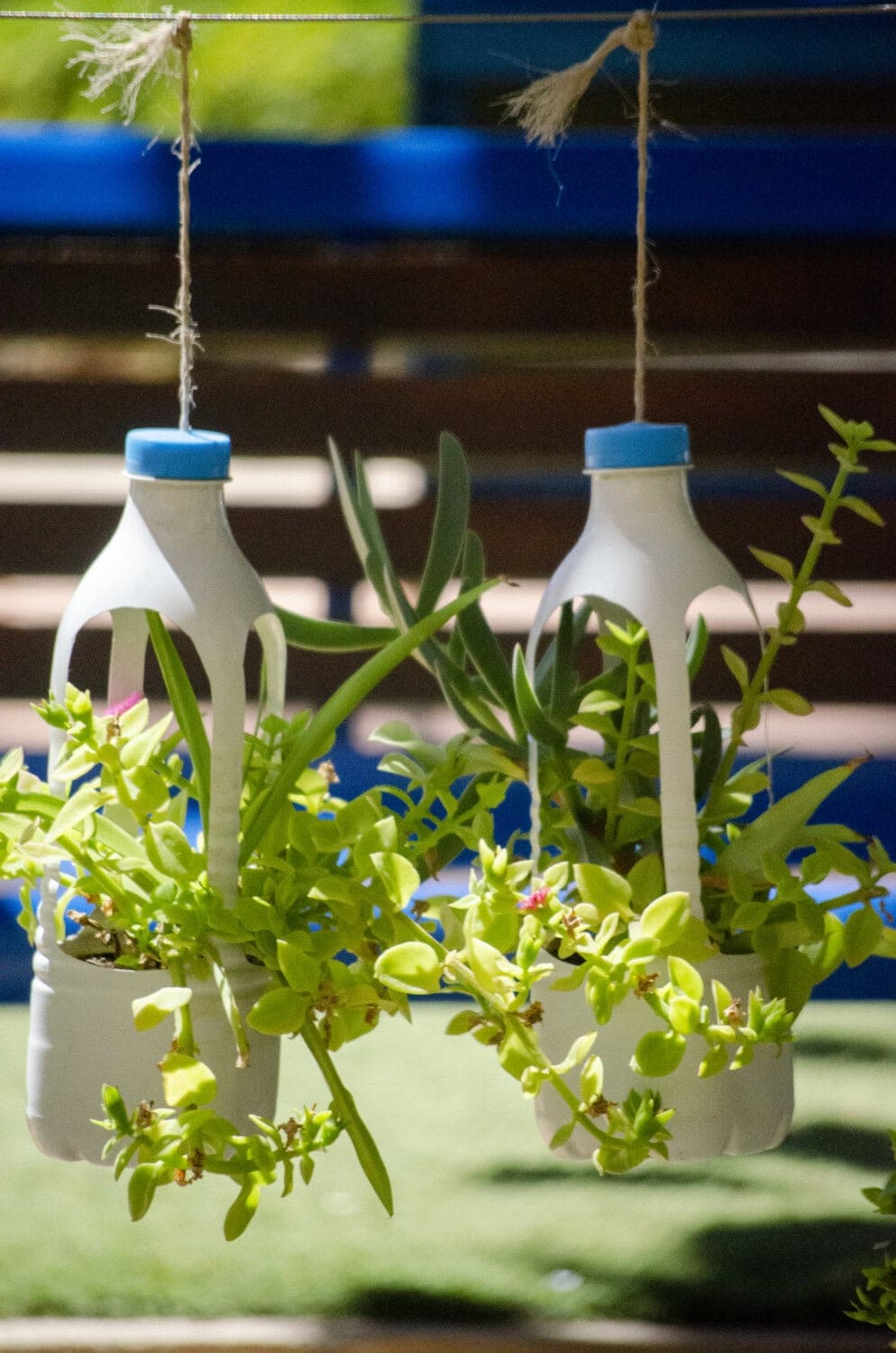 plastic bottle repurposed into hanging planter