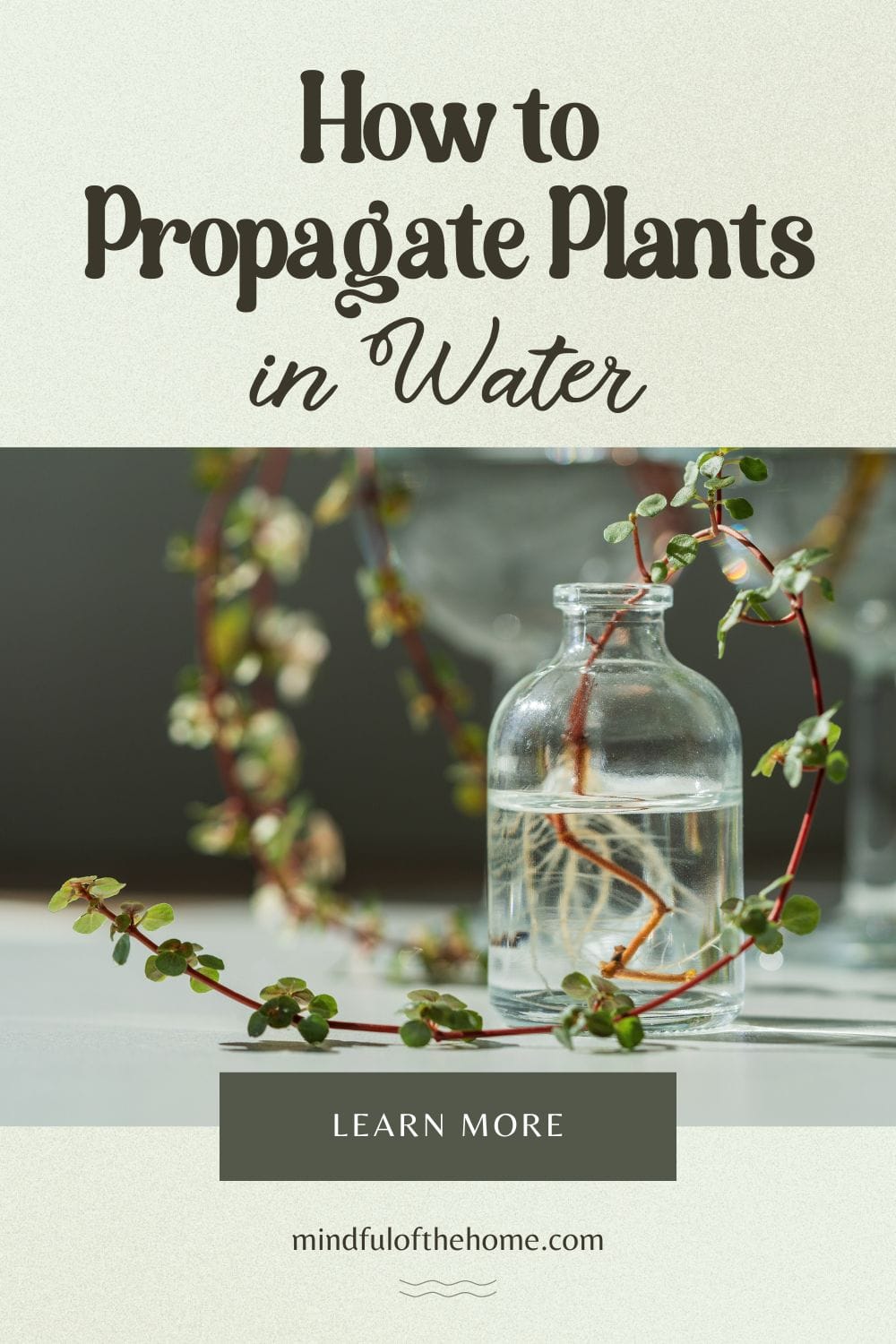 how to propagate plants in water