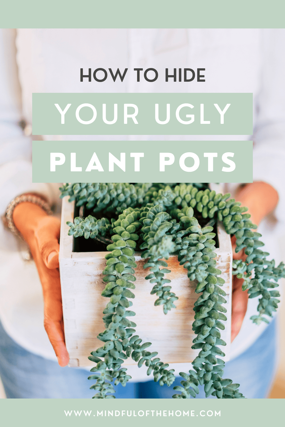 how to hide your ugly plant pots