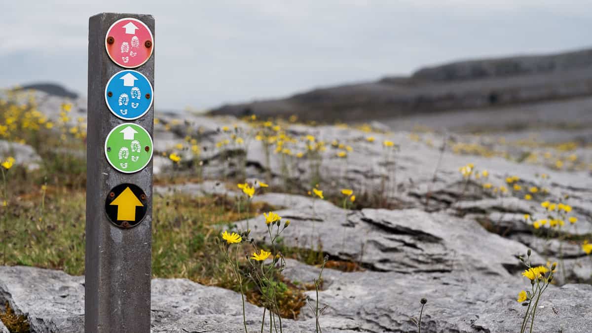 Burren