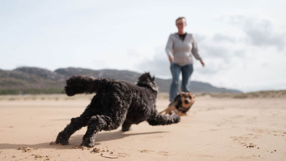 Ballymastocker Beach