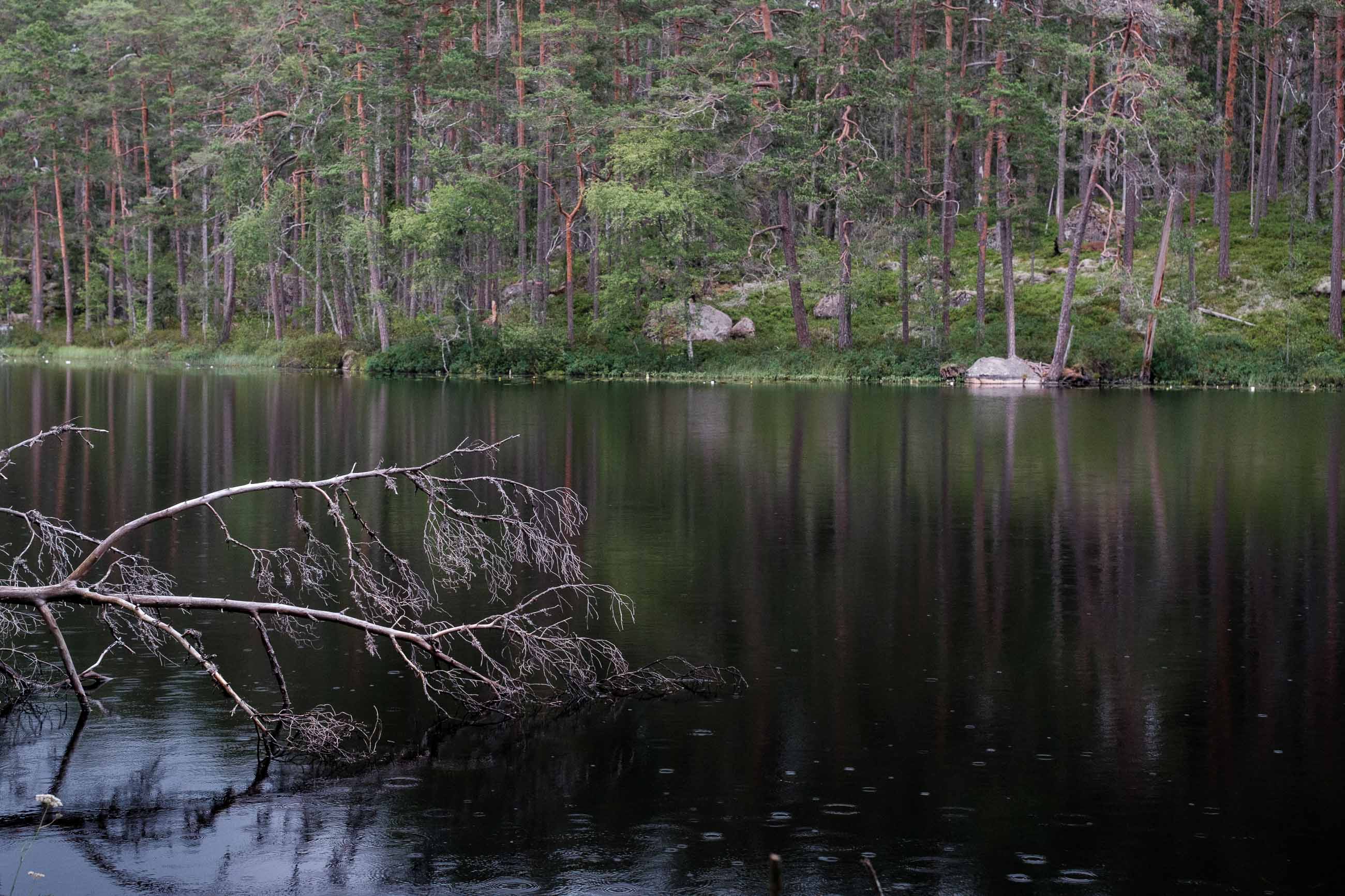 Norra Kvill