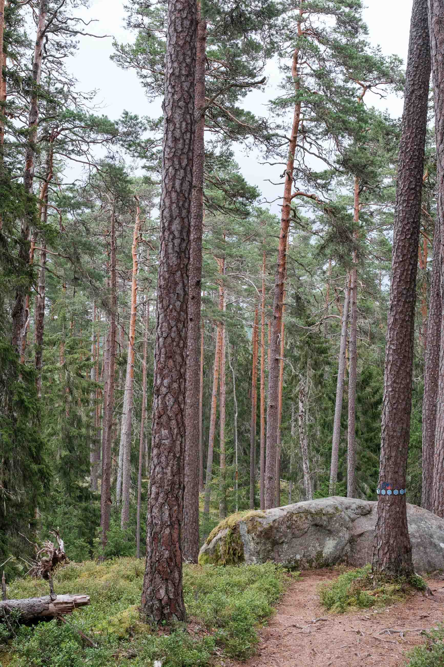 Norra Kvill