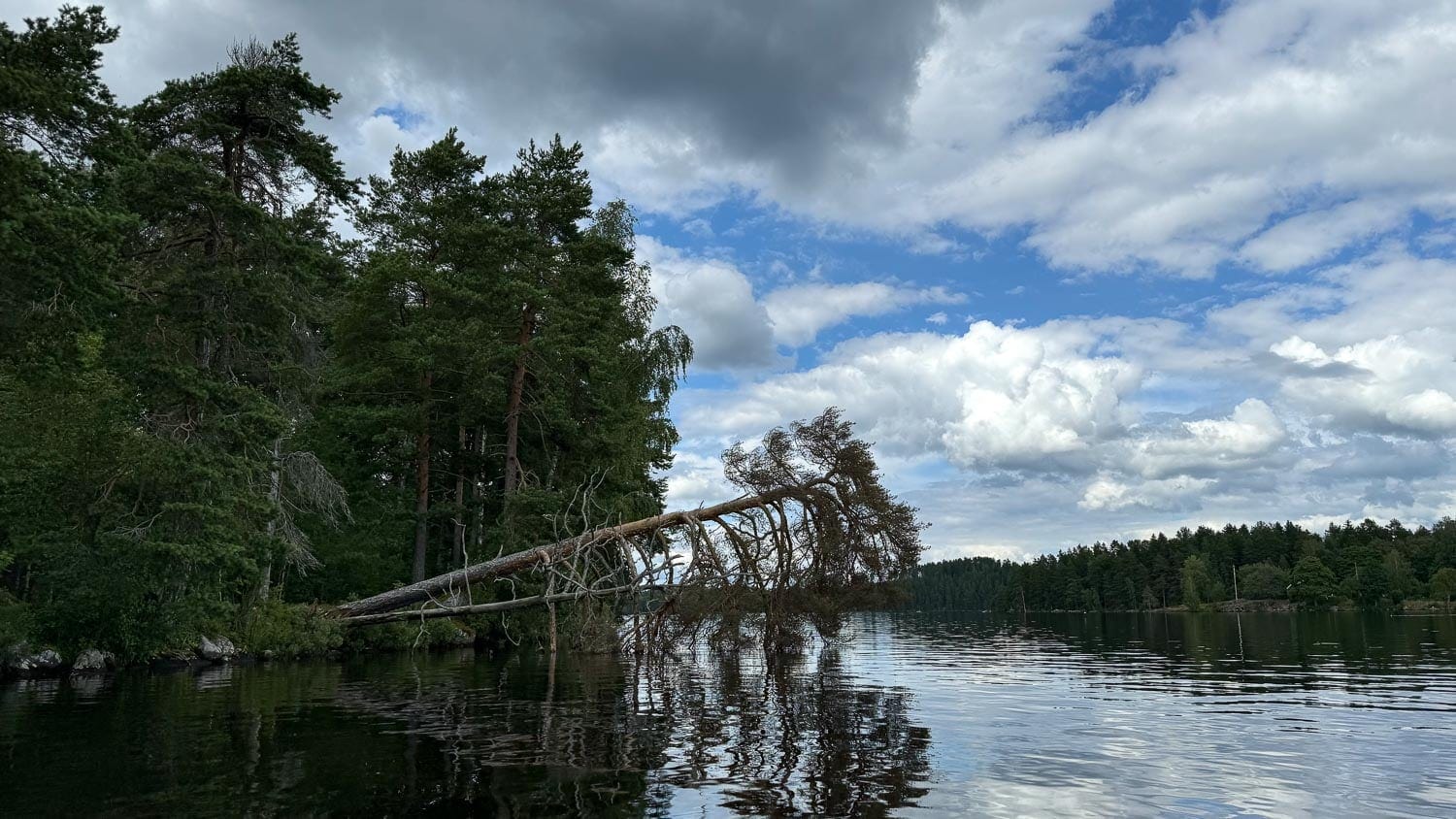 Östra Lägern