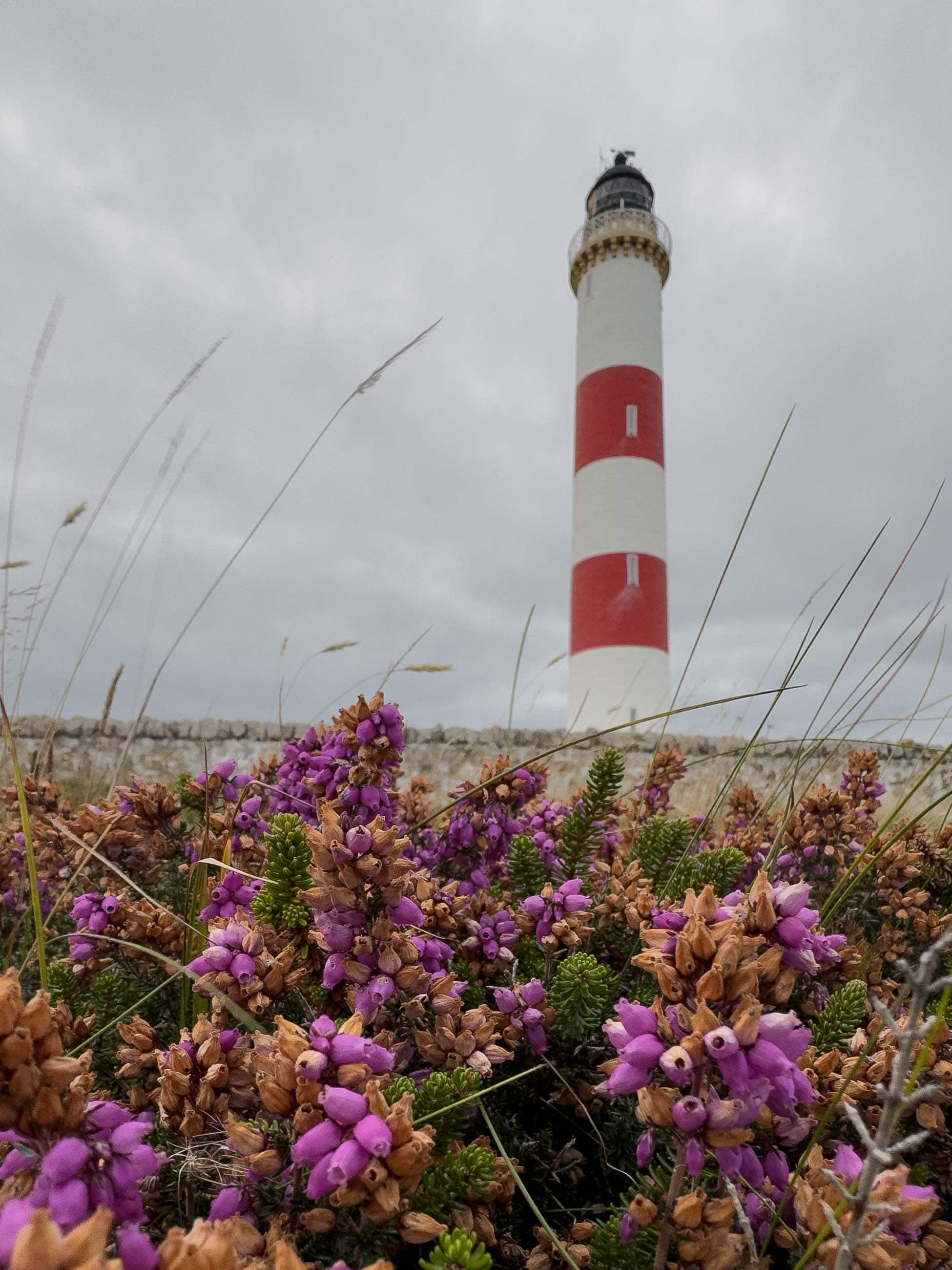 Tarbat Ness