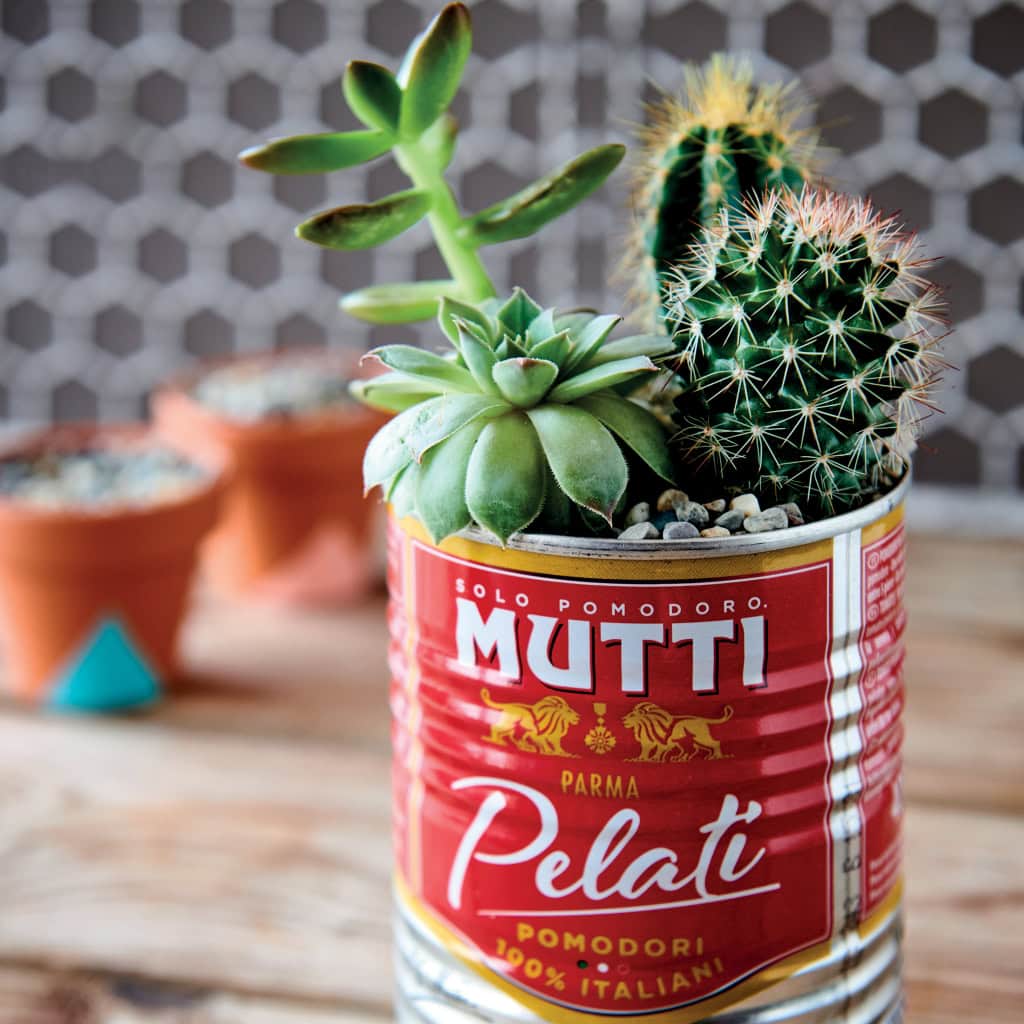 Mutti-krukke til sukkulenter