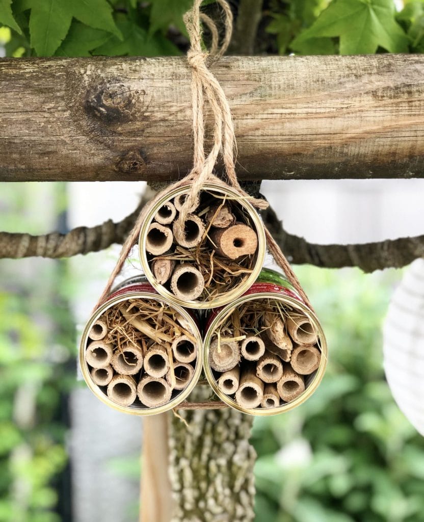 insektenhotel