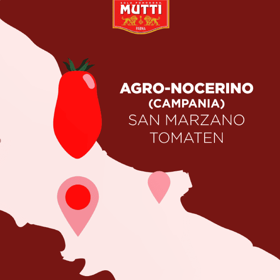 agro nocerino san marzano tomaten