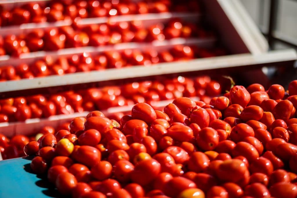 tomaten