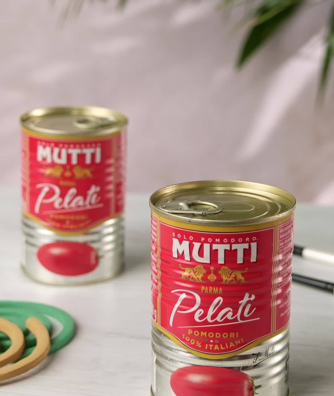 Mosquito Coil Holder with Finely Chopped Tomatoes tins