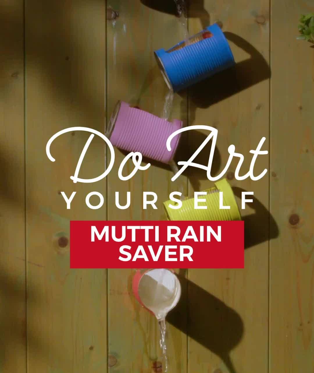 Rain saver with cherry tomato cans