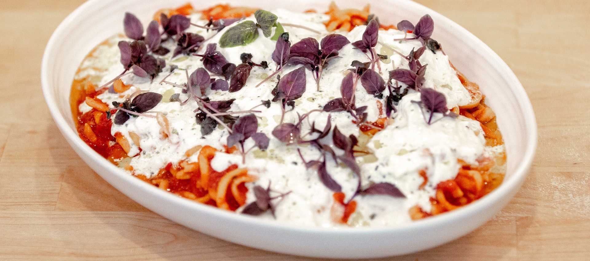 Spicy Pasta Recipe with Burrata, Anchovy and Basil