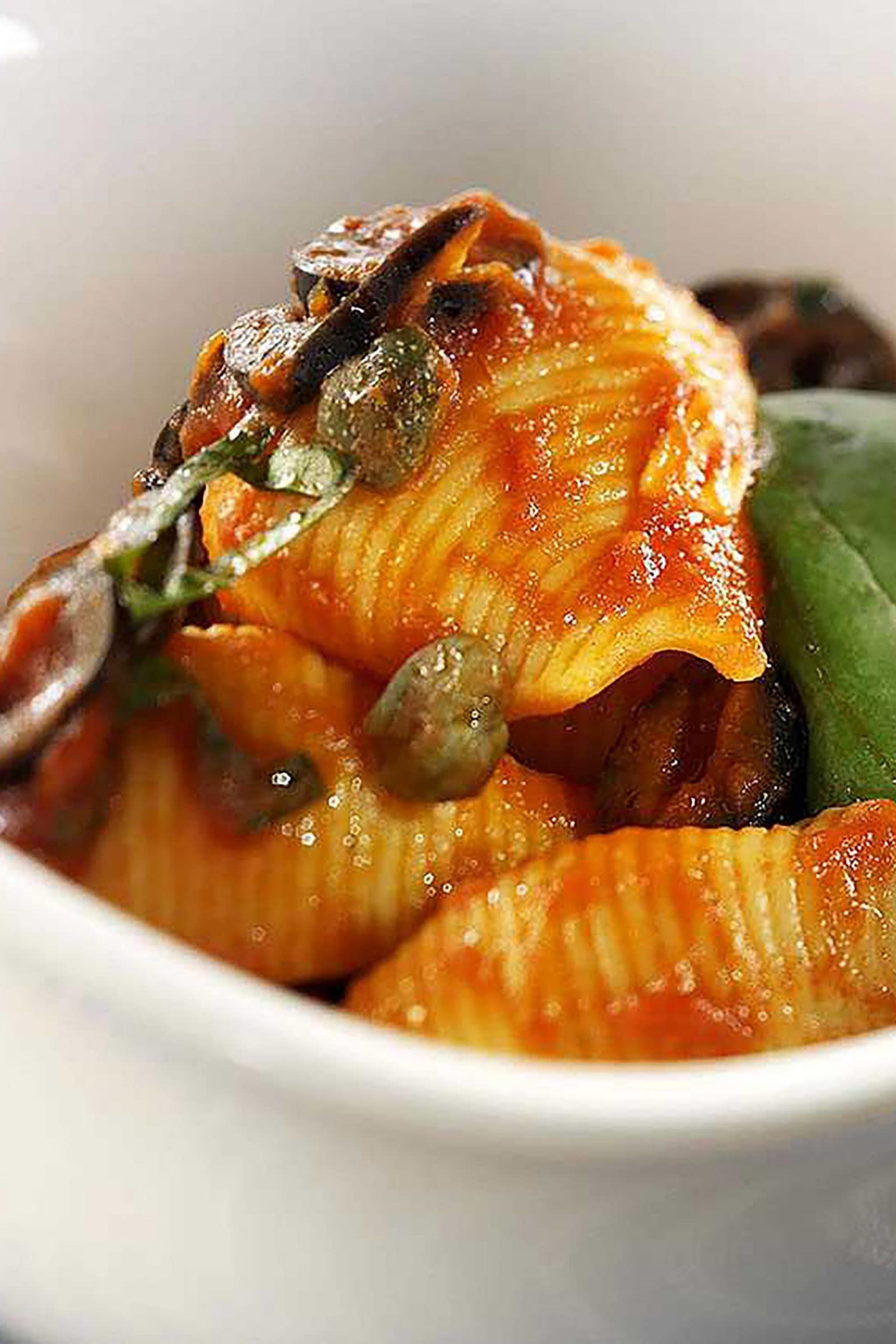 Conchiglioni alla zingara con salsa datterini