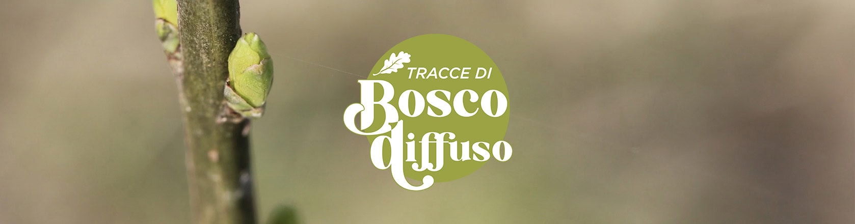 Bosco Diffuso