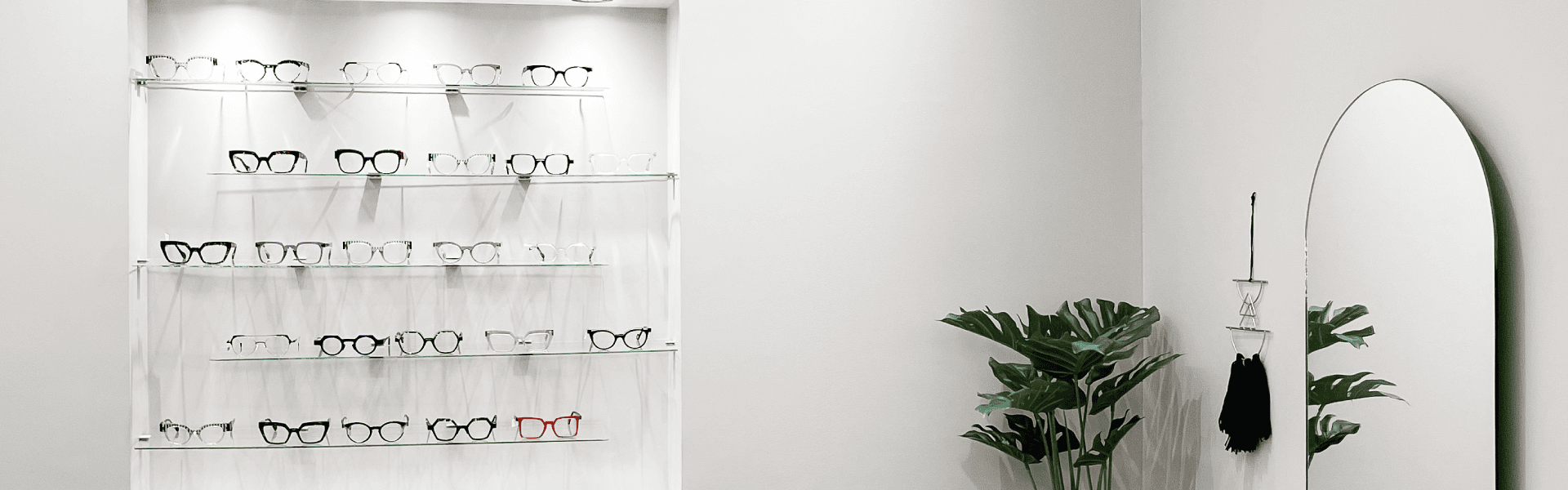 One Optics Ltd