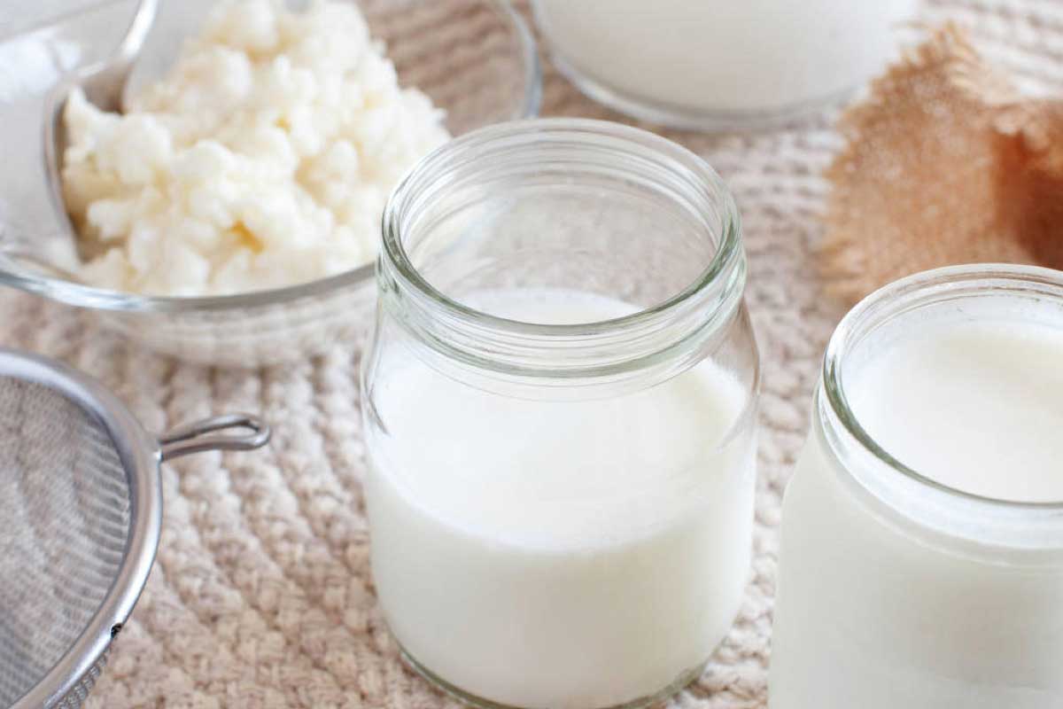 โยเกิร์ต