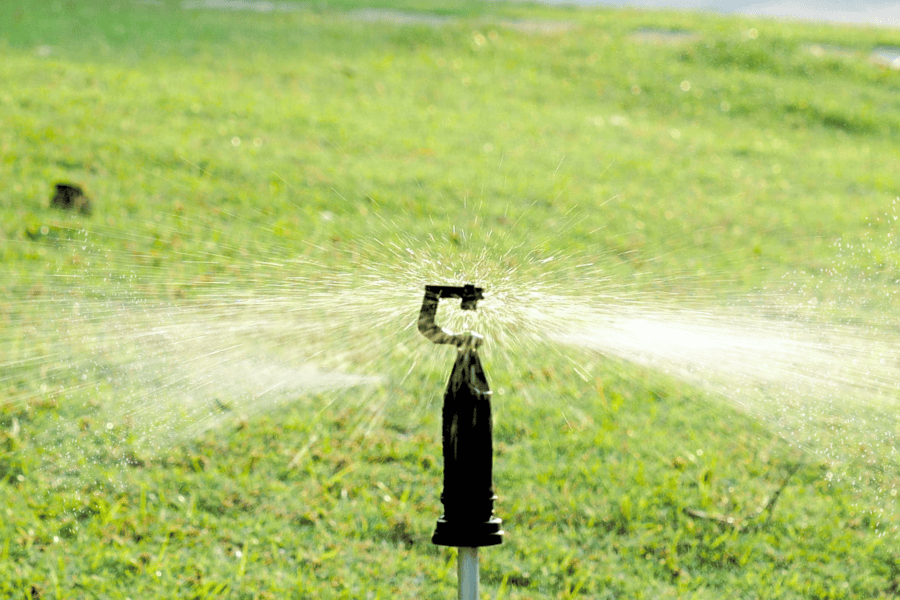 สปริงเกอร์สนามหญ้า