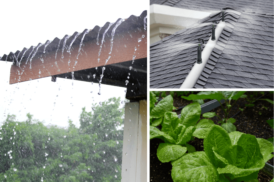 สปริงเกอร์หลังคา