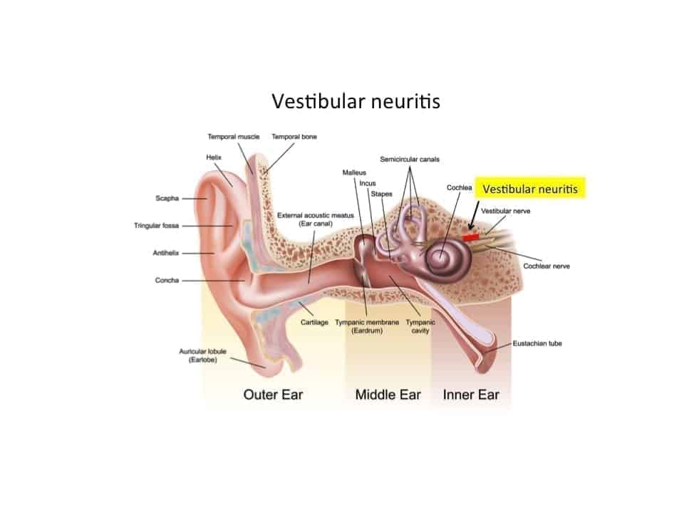 Naturopathy Near Me