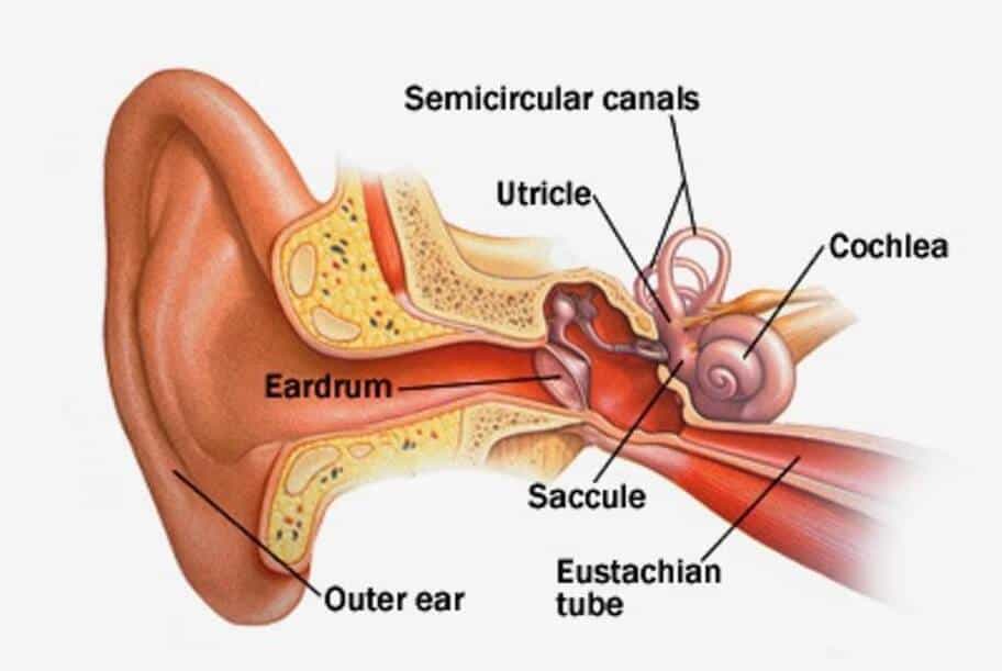 Benign Paroxysmal Positional Vertigo