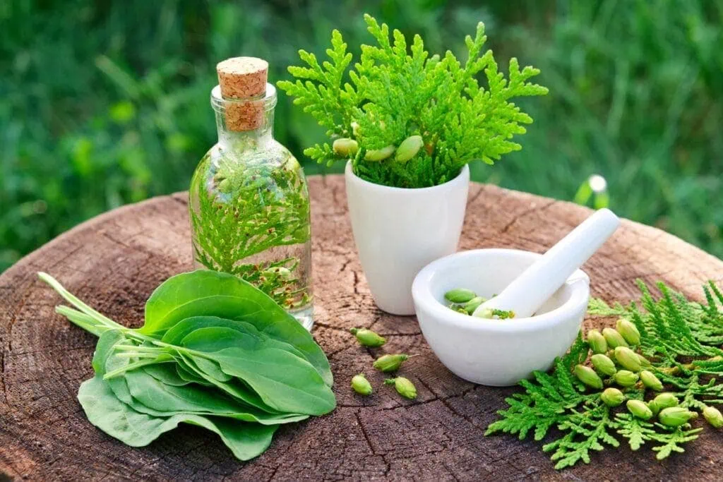 Root Cause Naturopathy