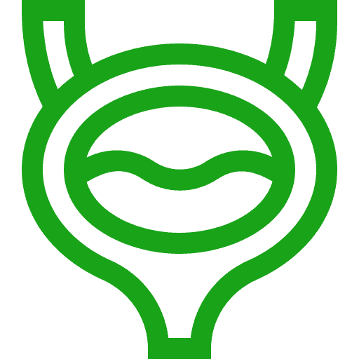 Bladder health icon 