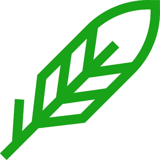 Feather icon symbolizing gentle fibromyalgia treatment approach