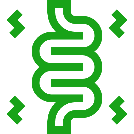 Intestines icon pelvic floor