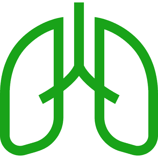 Lungs icon illustration