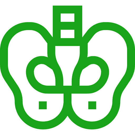 Pelvis Icon Scoliosis Treatment