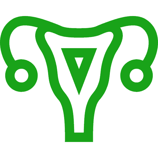 Uterus Icon for Physiotherapy