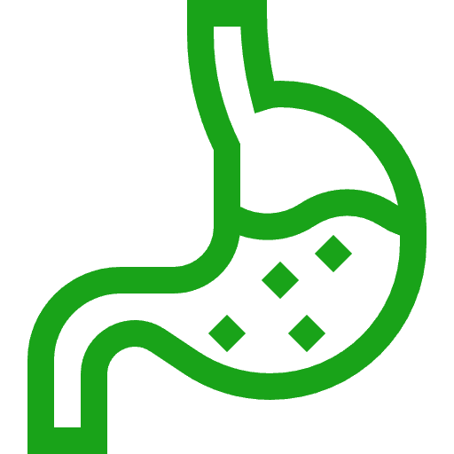Stomach icon representing dysphagia therapy services