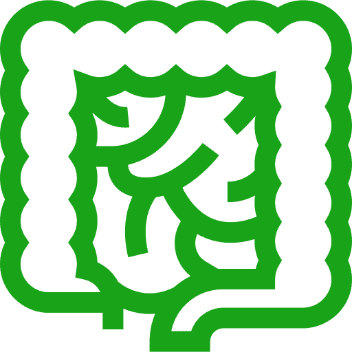 Intestine Health Diagram