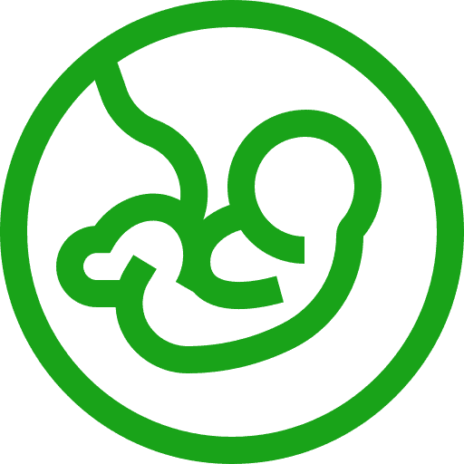 Pregnancy Wellness Naturopathy