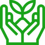 Sprout 1 image.