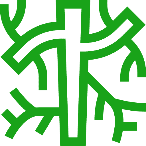 Vascular Health Wellness Icon
