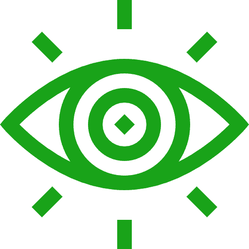 Vision Icon for Stroke