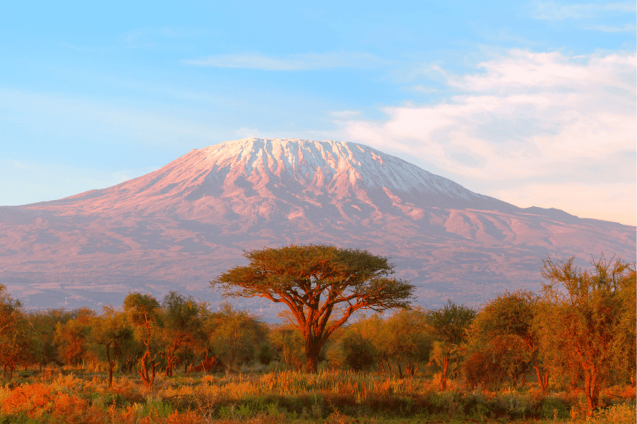 From Marathon to Mountain: How Our Kilimanjaro Fundraiser Came to Life