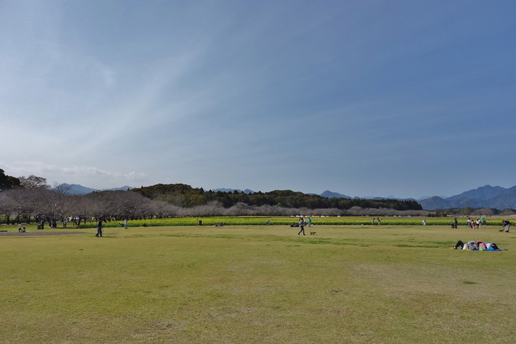 西都原　遠景