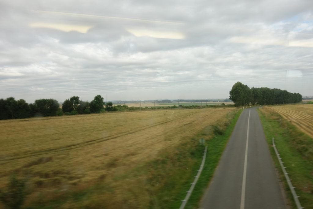 DSC05847