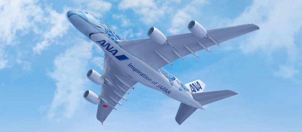 ANAハワイ線に就航するA380のお腹