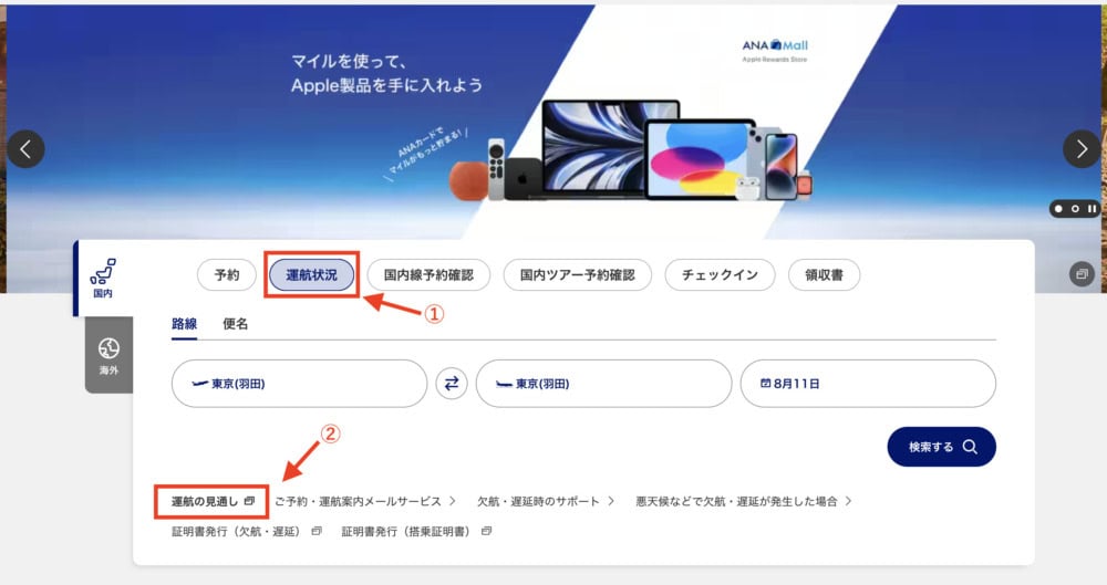 ANA国内線運行の見通し